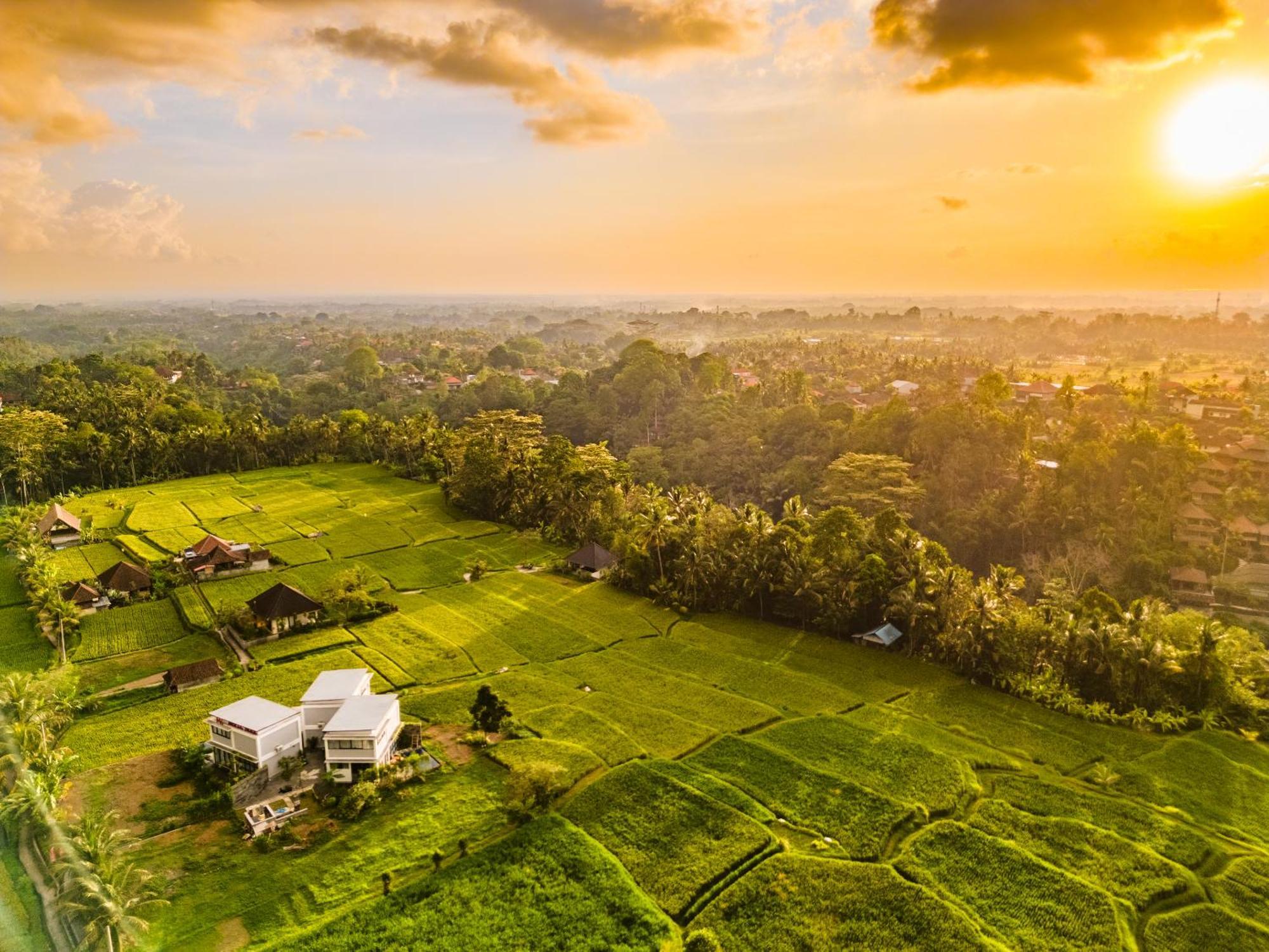Maple Ridge Ubud Villas Bagian luar foto