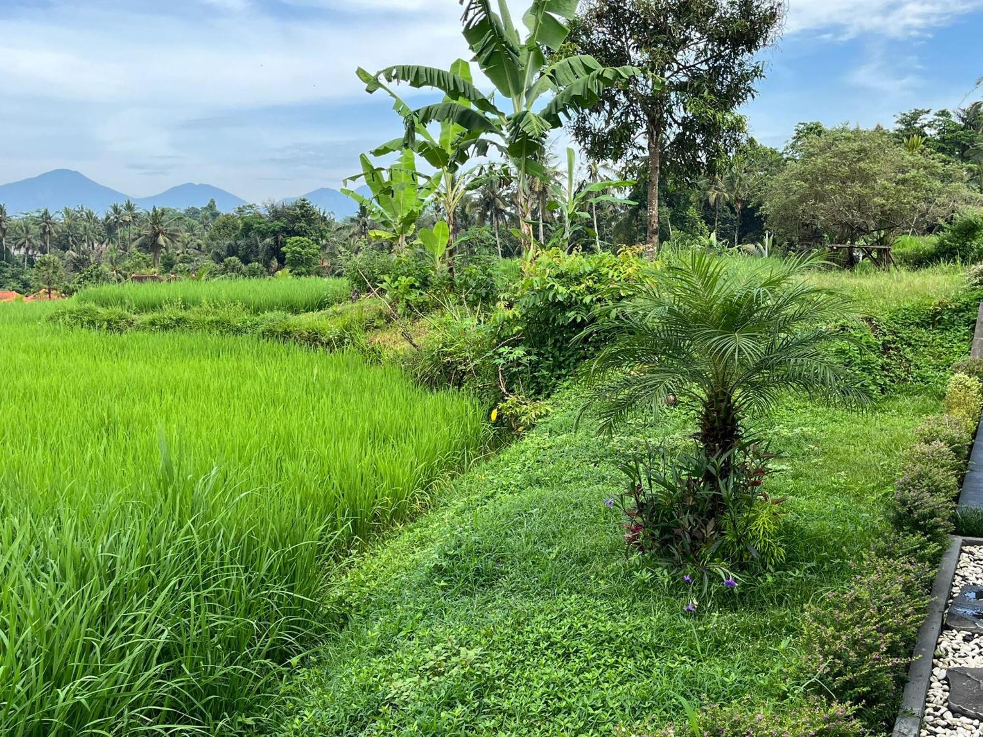Maple Ridge Ubud Villas Bagian luar foto
