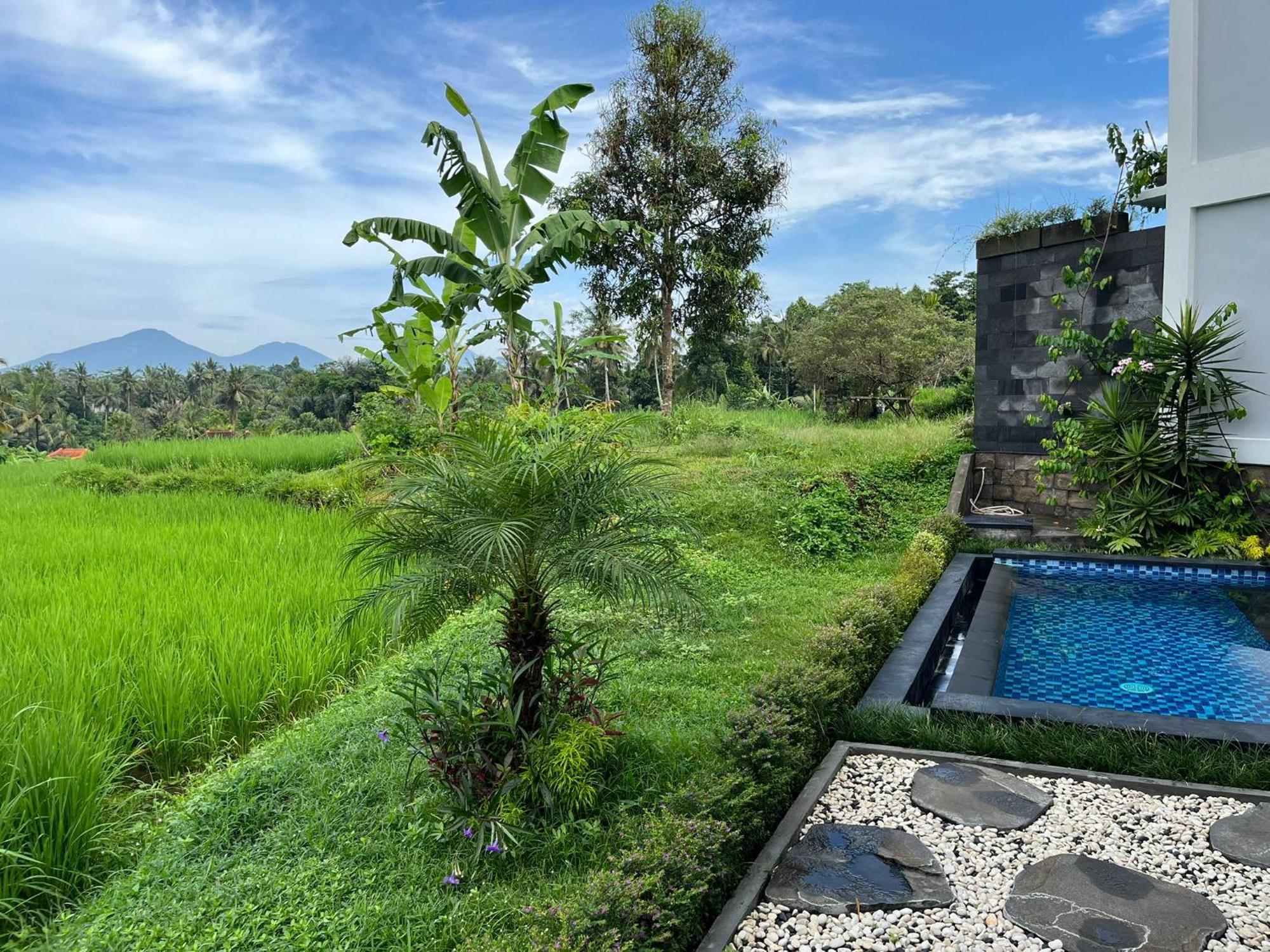 Maple Ridge Ubud Villas Bagian luar foto